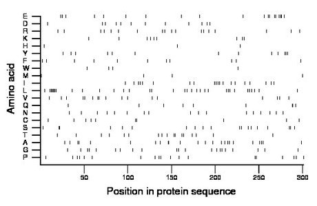 amino acid map