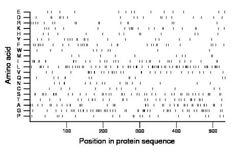 amino acid map