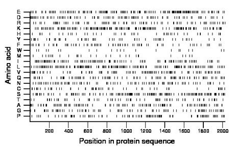 amino acid map