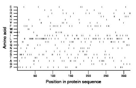 amino acid map