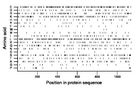 amino acid map