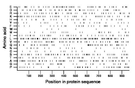 amino acid map