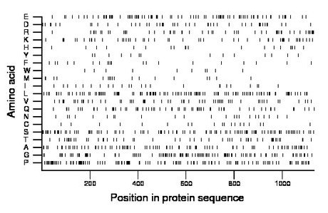 amino acid map