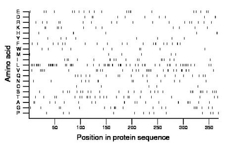 amino acid map