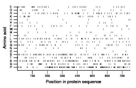 amino acid map