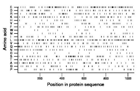 amino acid map