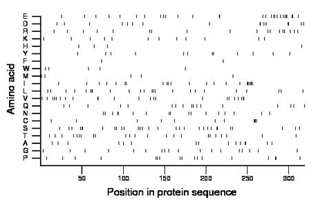 amino acid map