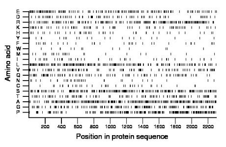 amino acid map