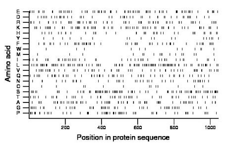 amino acid map