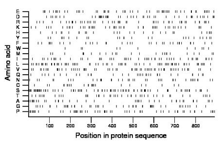 amino acid map