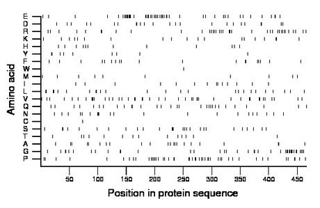 amino acid map