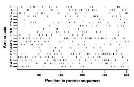 amino acid map