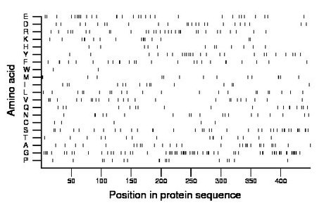 amino acid map