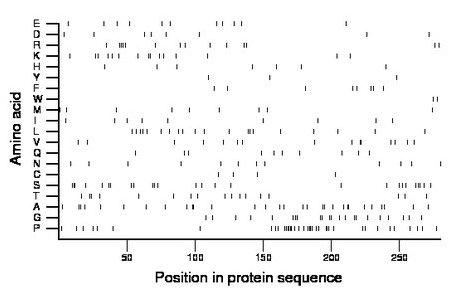 amino acid map