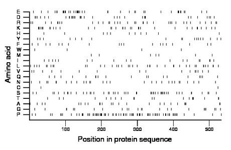 amino acid map