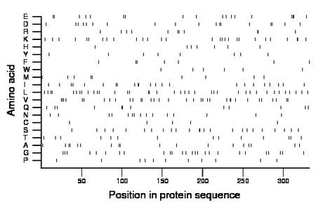 amino acid map