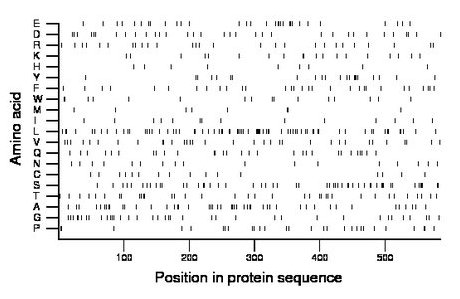 amino acid map