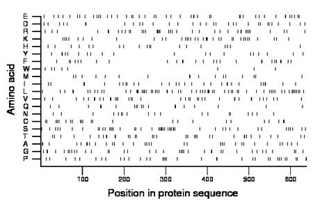 amino acid map