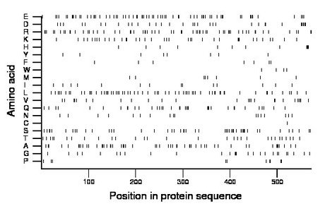 amino acid map