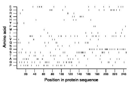 amino acid map