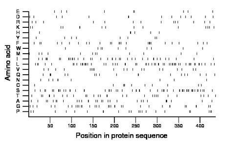 amino acid map