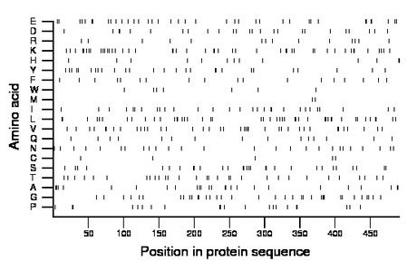 amino acid map