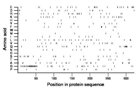 amino acid map