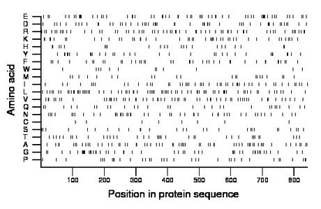 amino acid map