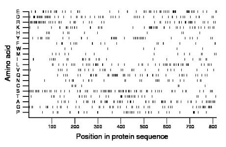 amino acid map