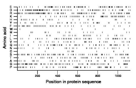 amino acid map