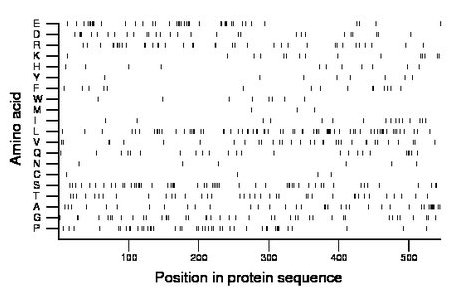 amino acid map