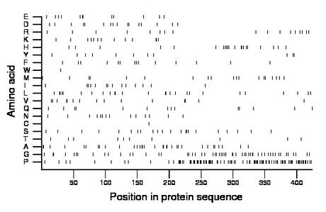 amino acid map