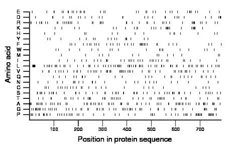 amino acid map