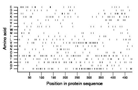 amino acid map