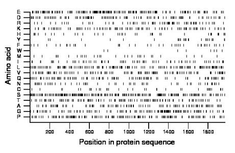 amino acid map