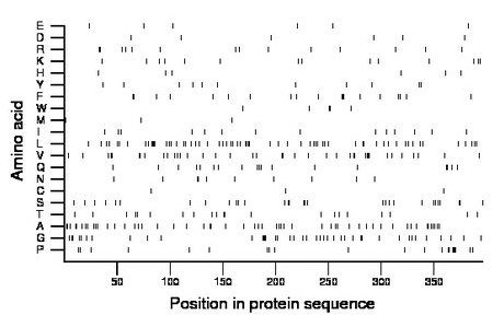 amino acid map