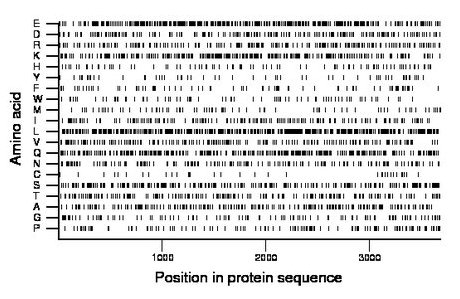 amino acid map