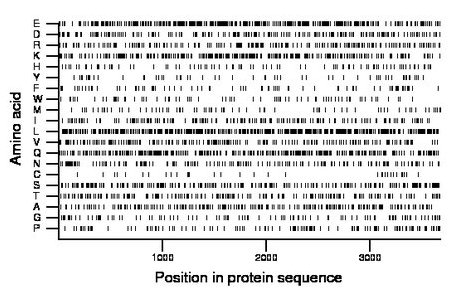 amino acid map