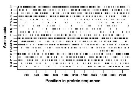 amino acid map