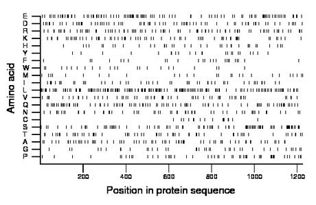 amino acid map