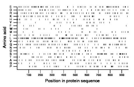 amino acid map