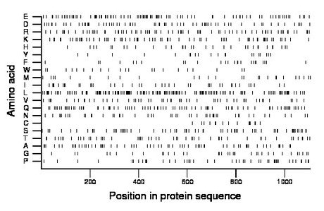 amino acid map