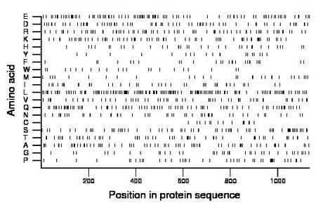 amino acid map