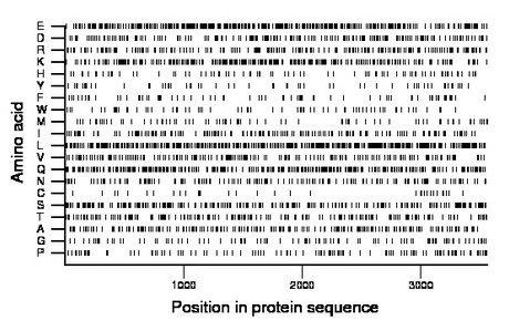 amino acid map