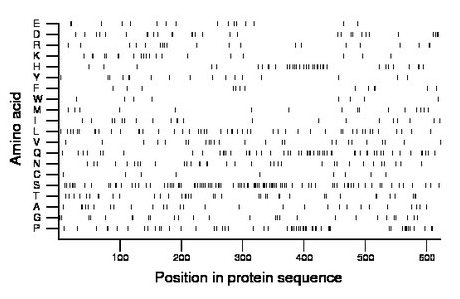 amino acid map