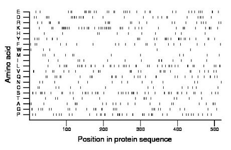 amino acid map