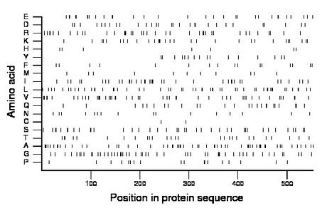 amino acid map