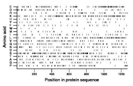 amino acid map