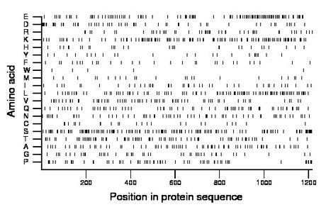 amino acid map