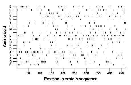 amino acid map